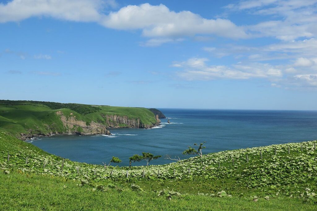 展望台から臨むチンベの鼻