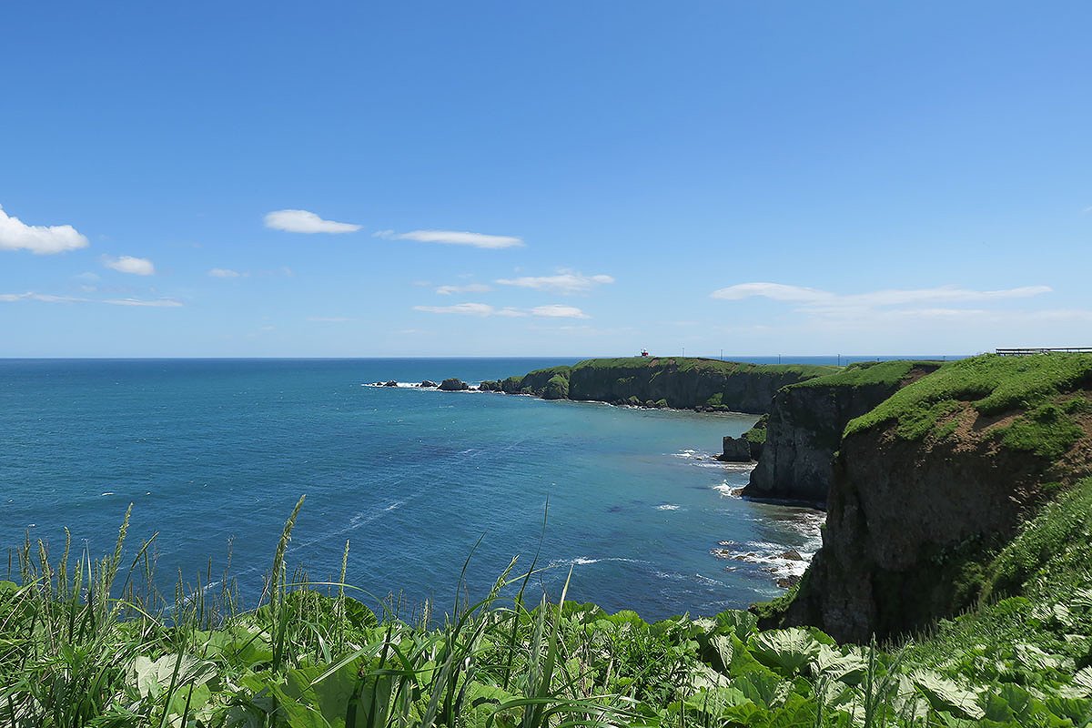 北海道 初夏の自然を楽しむ！道東の花々を巡るドライブおすすめルート＠釧路町～浜中町「岬と花の霧街道」