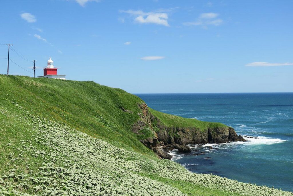 広がる海と霧多布岬