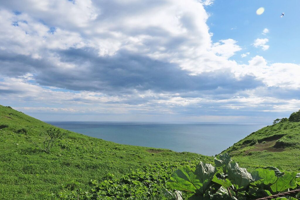 視界が開けて見えた海