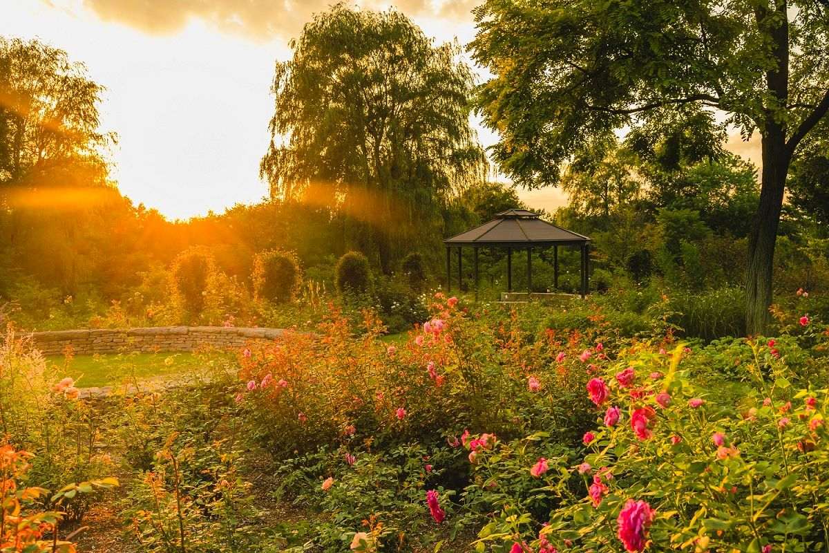 編集長のご褒美女子旅 2023 vol.5 道東・十勝編㊦　ガーデンの緑にいやされ、サウナで「ととのう」