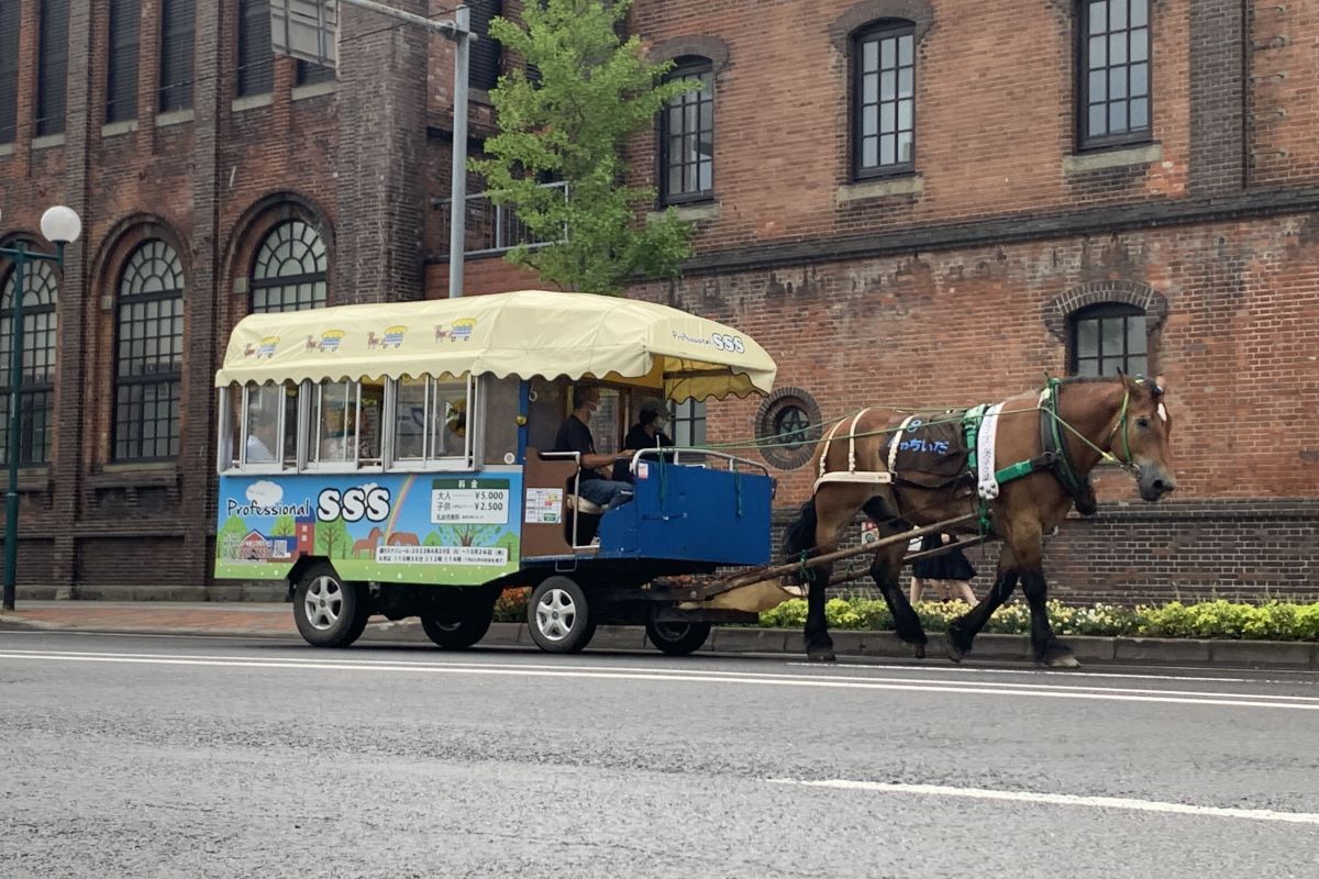 ビールのまちさっぽろの魅力再発見「ビールと歴史・文化を味わう観光馬車」 9/7から運行