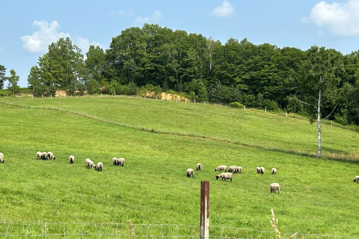 編集長のご褒美女子旅 2023 vol.3 道北編㊦最北のワイナリーを訪れ、地元産絶品羊肉とビールを楽しむ