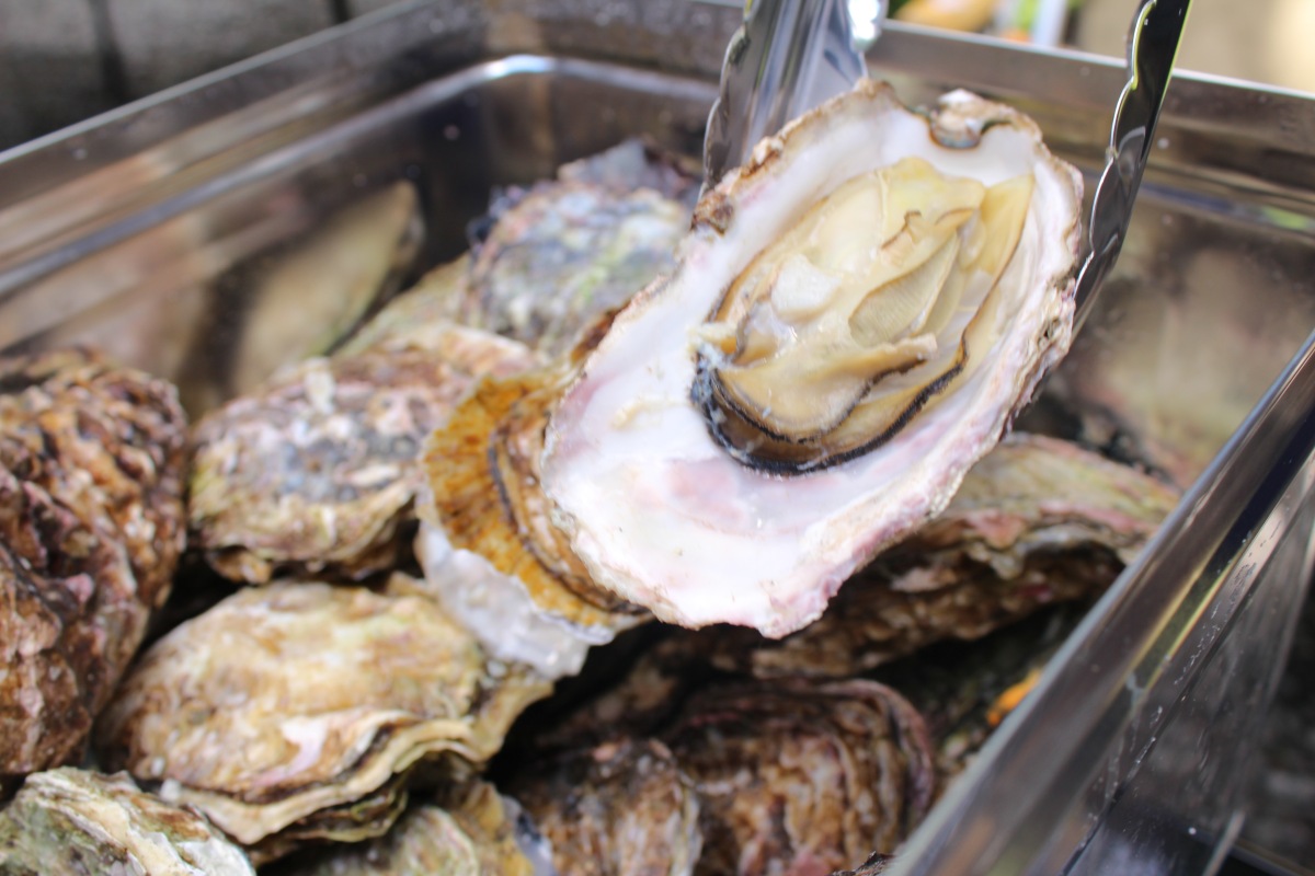 〈ＰＲ〉「牡蠣ガンガン焼き祭り2023」 11/１～5 札幌・狸二条広場で初開催！産地直送の海産物で思いっ切り食べて呑んで　幸せでしかない最高の５日間♪