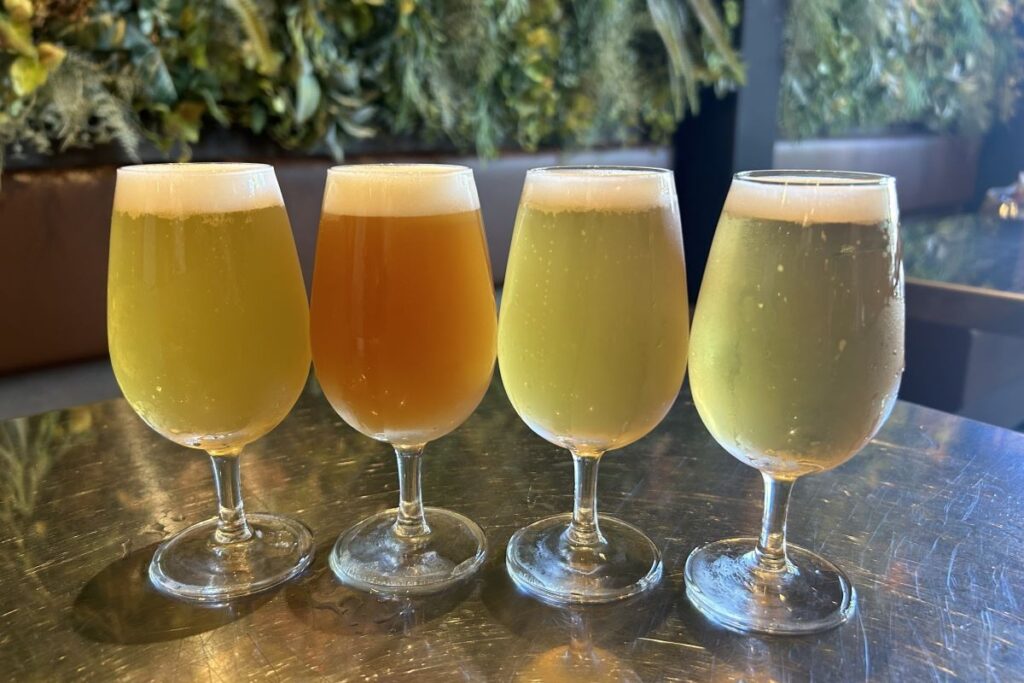 グラスに注がれた（左から）「ヴァイツェン」「セッションＩＰＡ」「セゾン」「ホワイトエール」