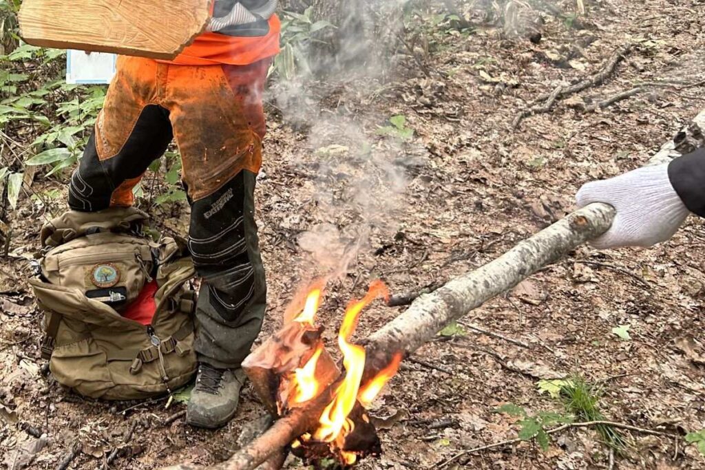 カよけのためのシラカバのたいまつ