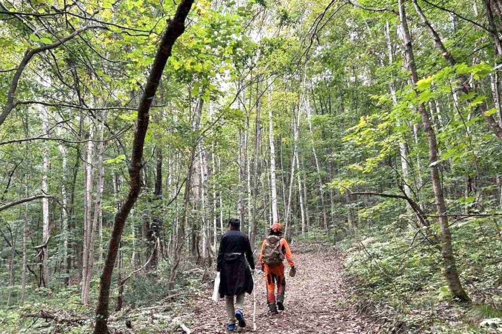 清水さんが所有する「里山部」の中につくった道