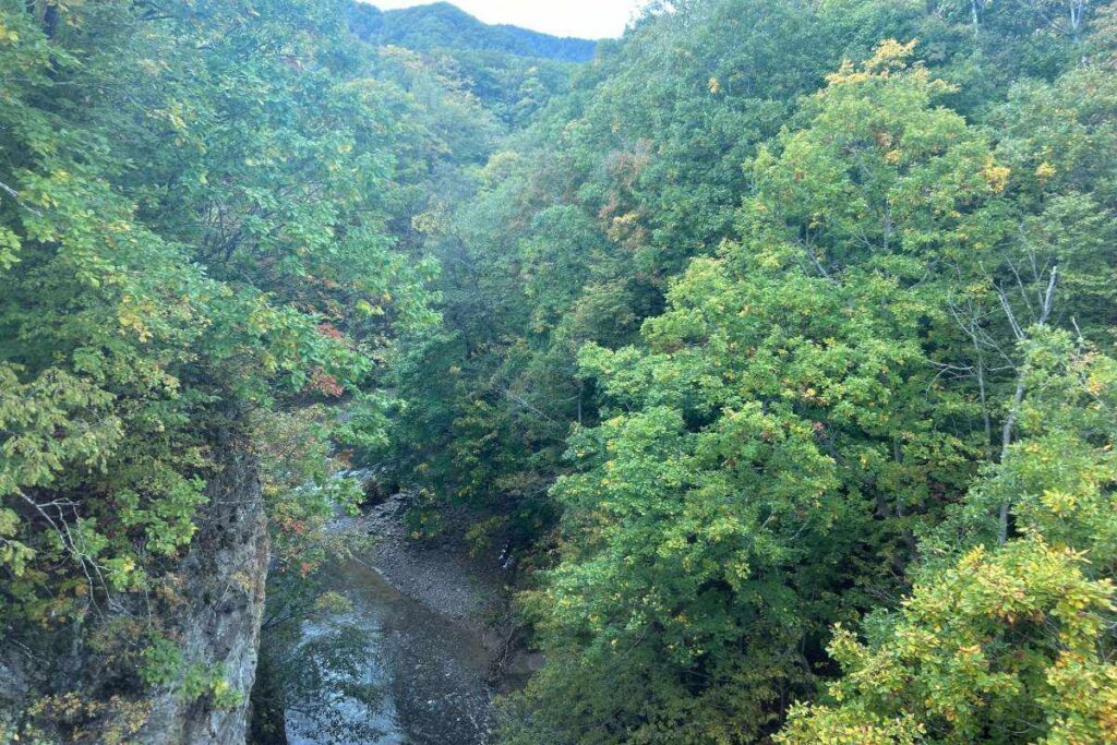 定山渓の紅葉スポットのひとつ「時雨橋」からの眺め