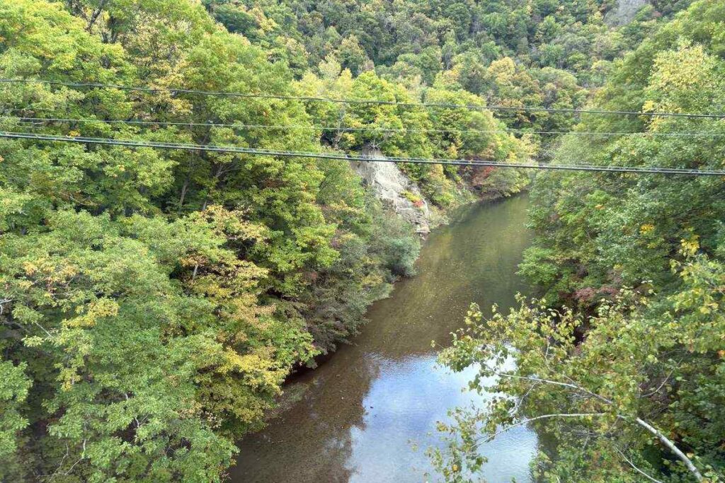 「錦橋」から眺める「舞鶴の瀞」