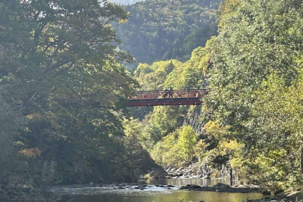 気温が下がると、一気に紅葉が進む「二見吊橋」周辺