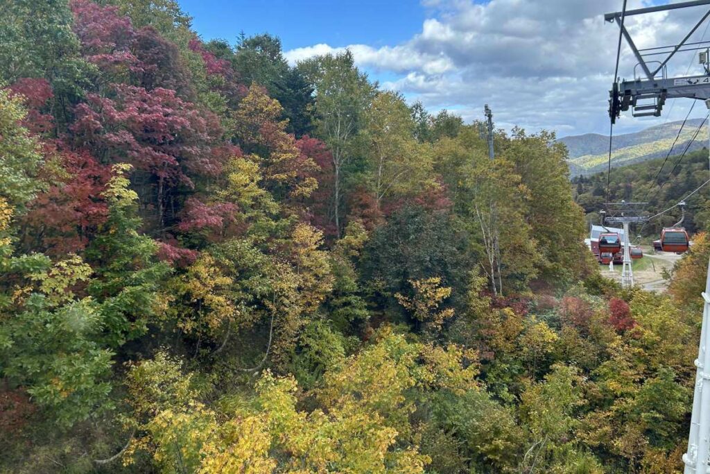 ゴンドラに乗って数分の紅葉。右側に見える白い建物がゴンドラ乗り場