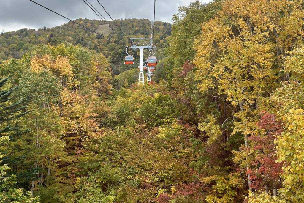 かなり色づいている中腹辺り