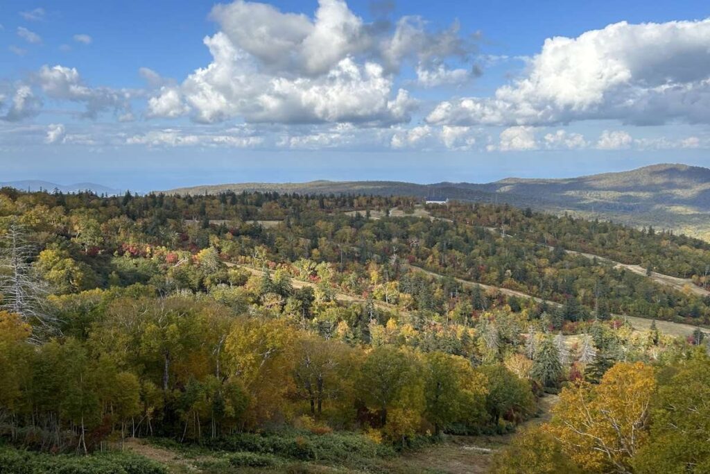 秋色になった遠くの山々を臨む