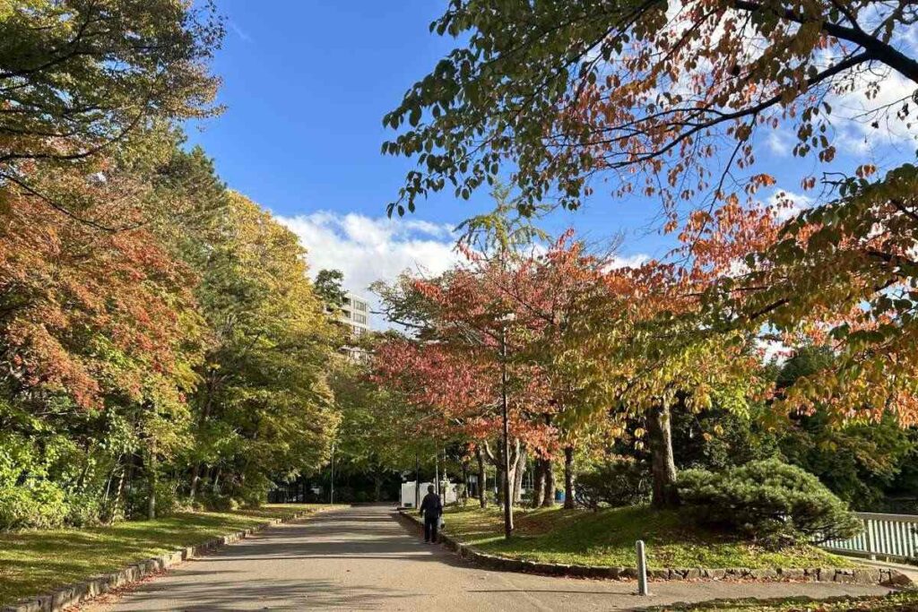 色づき始めている菖蒲池ほとりの木々