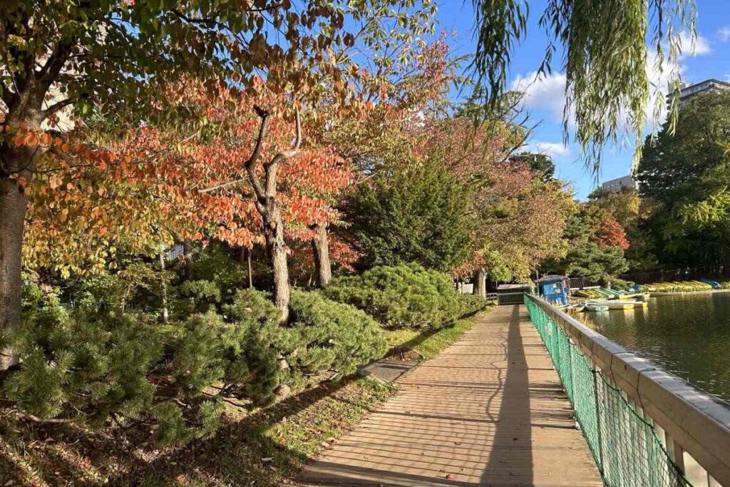 紅葉するのが早いサクラが並ぶボート乗り場付近