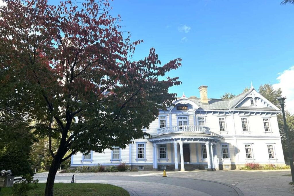 豊平館前のイタヤカエデ