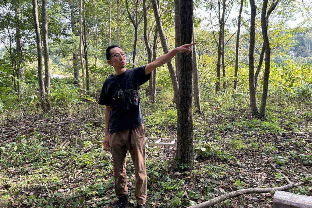 所有する森の説明をする小助川さん