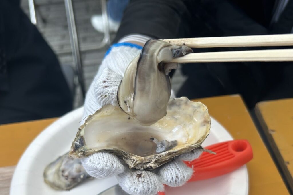 ぷるんとしたカキの身を取り出した様子