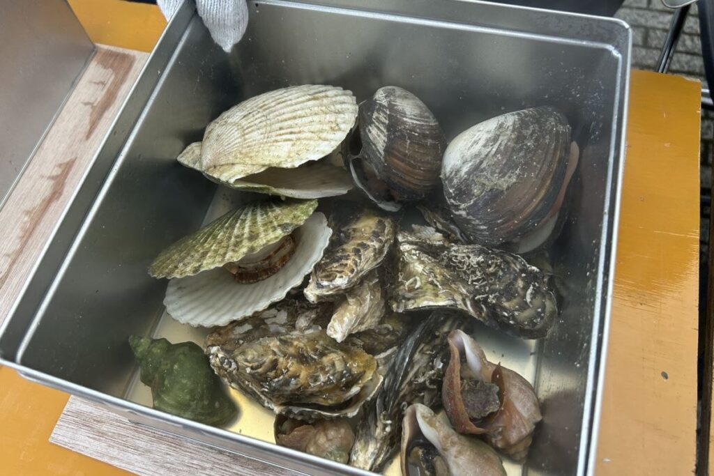 ガンガン焼きの「貝づくし」2人前