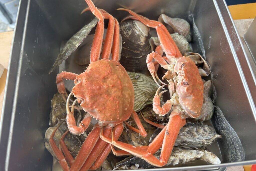 ガンガン焼きの「スペシャル」２人前