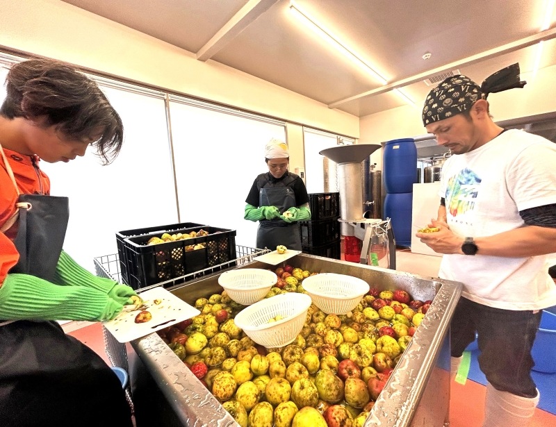 町内の醸造所でリンゴの洗浄や選果を手際良く行う「足寄ひだまりファーム」の沼田代表（右）ら