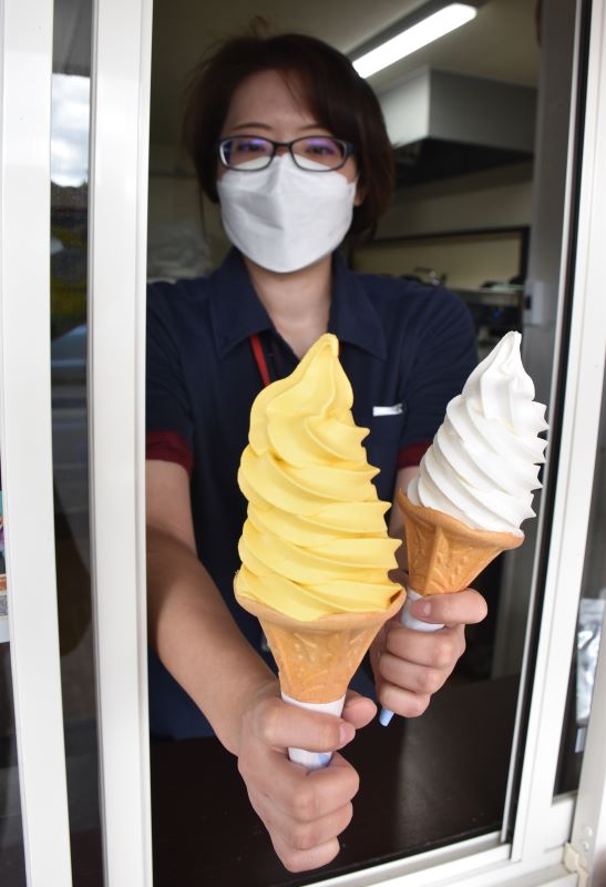 過去最高の売り上げとなった「ＪＡさっぽろ地物市場とれのさと」のソフトクリーム。左は黄色が美しいカボチャソフト