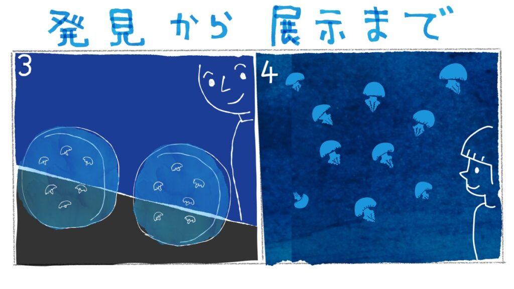 「AОAОで生まれたカラージェリー」４コマ漫画の３，４コマ