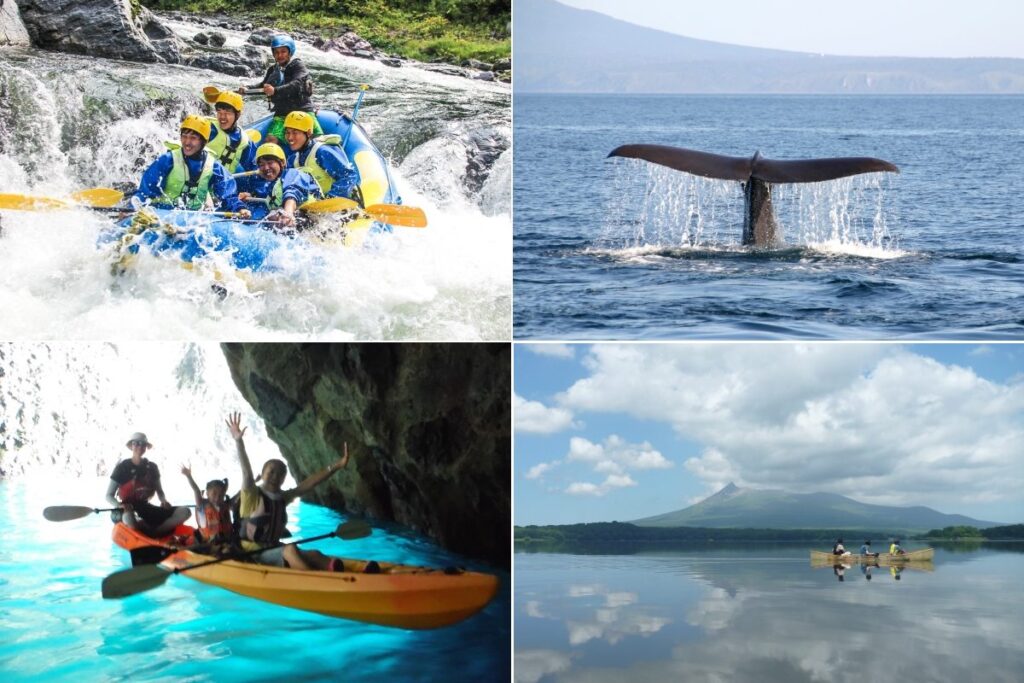 各種アクティビティのイメージ