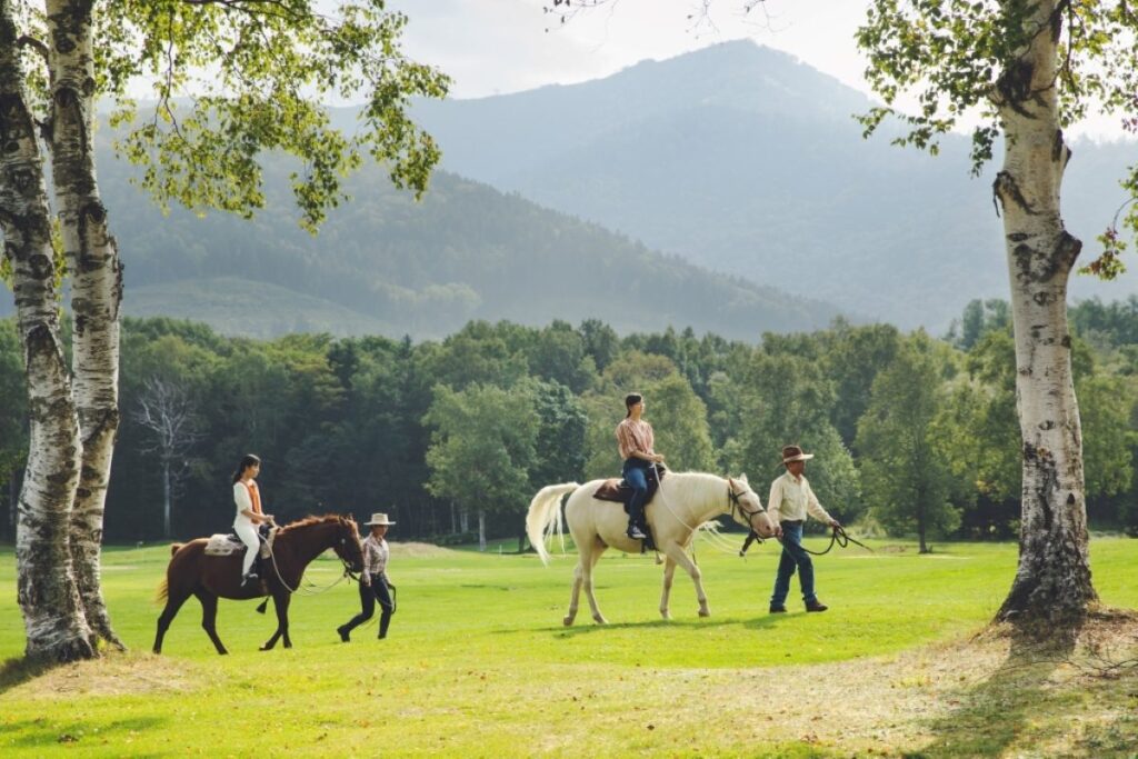 乗馬体験のイメージ