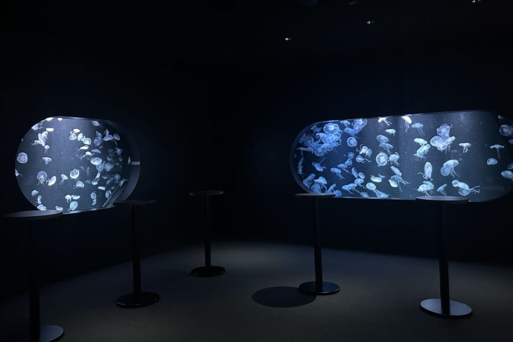 照明を落としたミズクラゲの大水槽