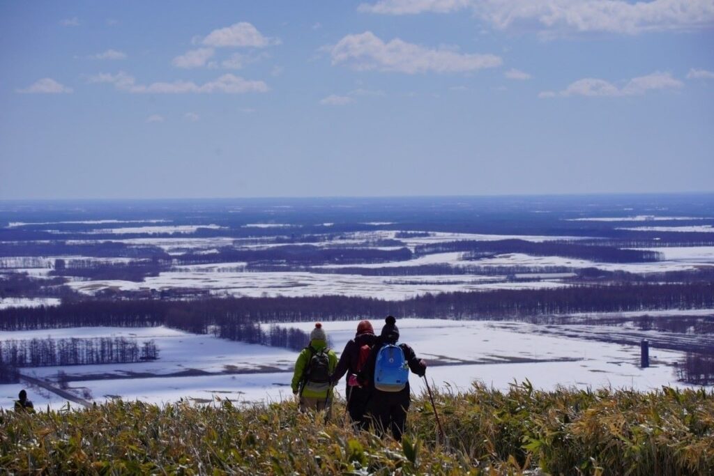 根釧台地特有の格子状防風林を一望できます