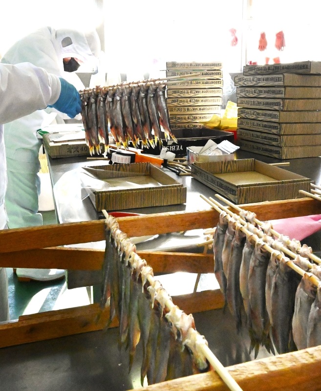 伝統的な製法で加工したシシャモを箱詰めするイミューの社員