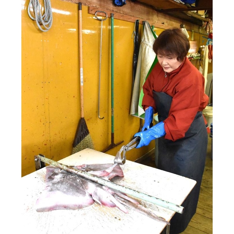 カスベの皮むきの様子。カスベを固定し、専用の器具で皮を挟んで力いっぱい引く