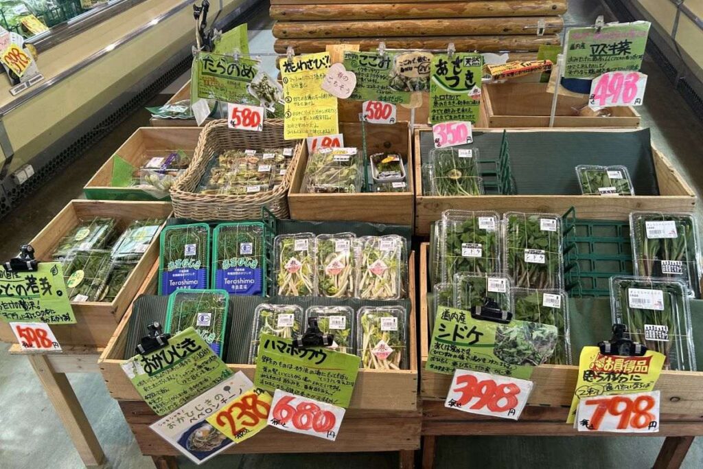 「酢みそ和えに」「煮浸しに」などと食べ方も書いてある山菜コーナー