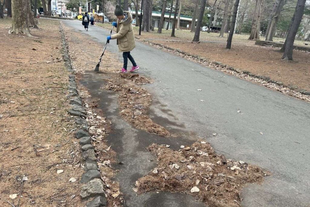 ほうきで落ち葉を集め、流星を形づくっていきます