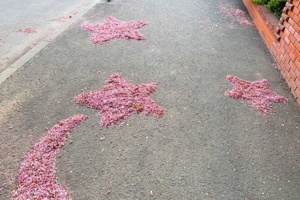 ほうきで花びらを集めてつくった流星