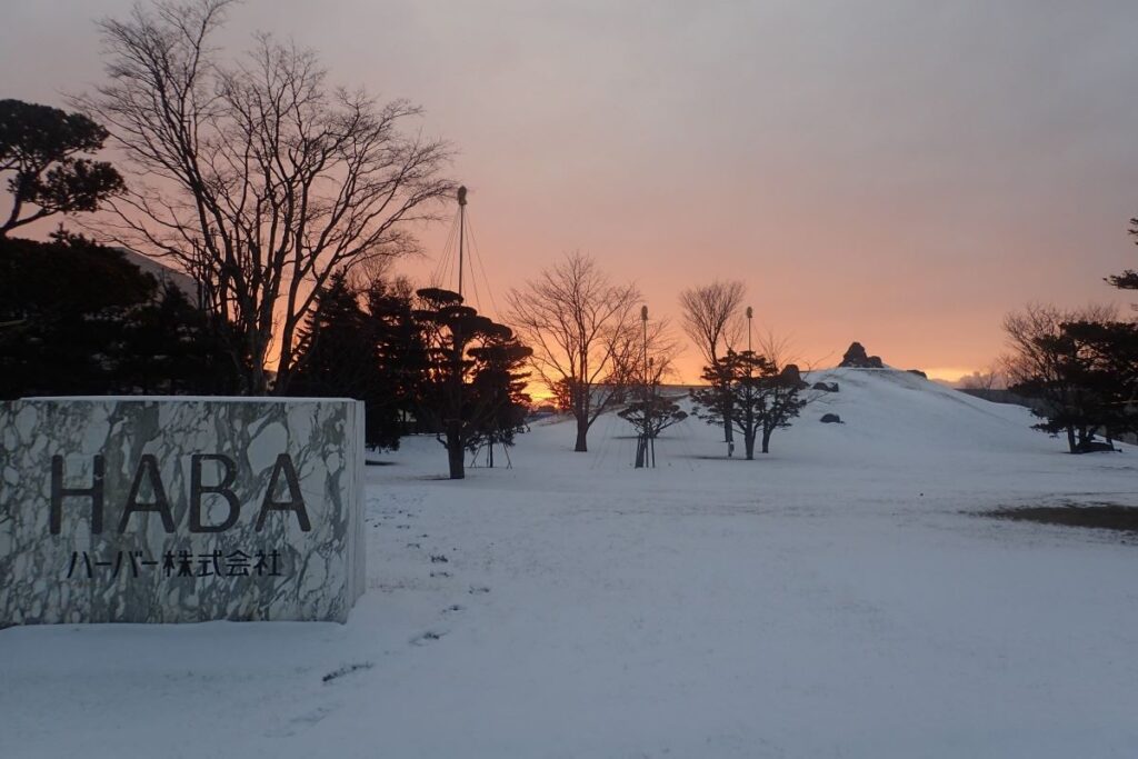 美しい冬の夕暮れ