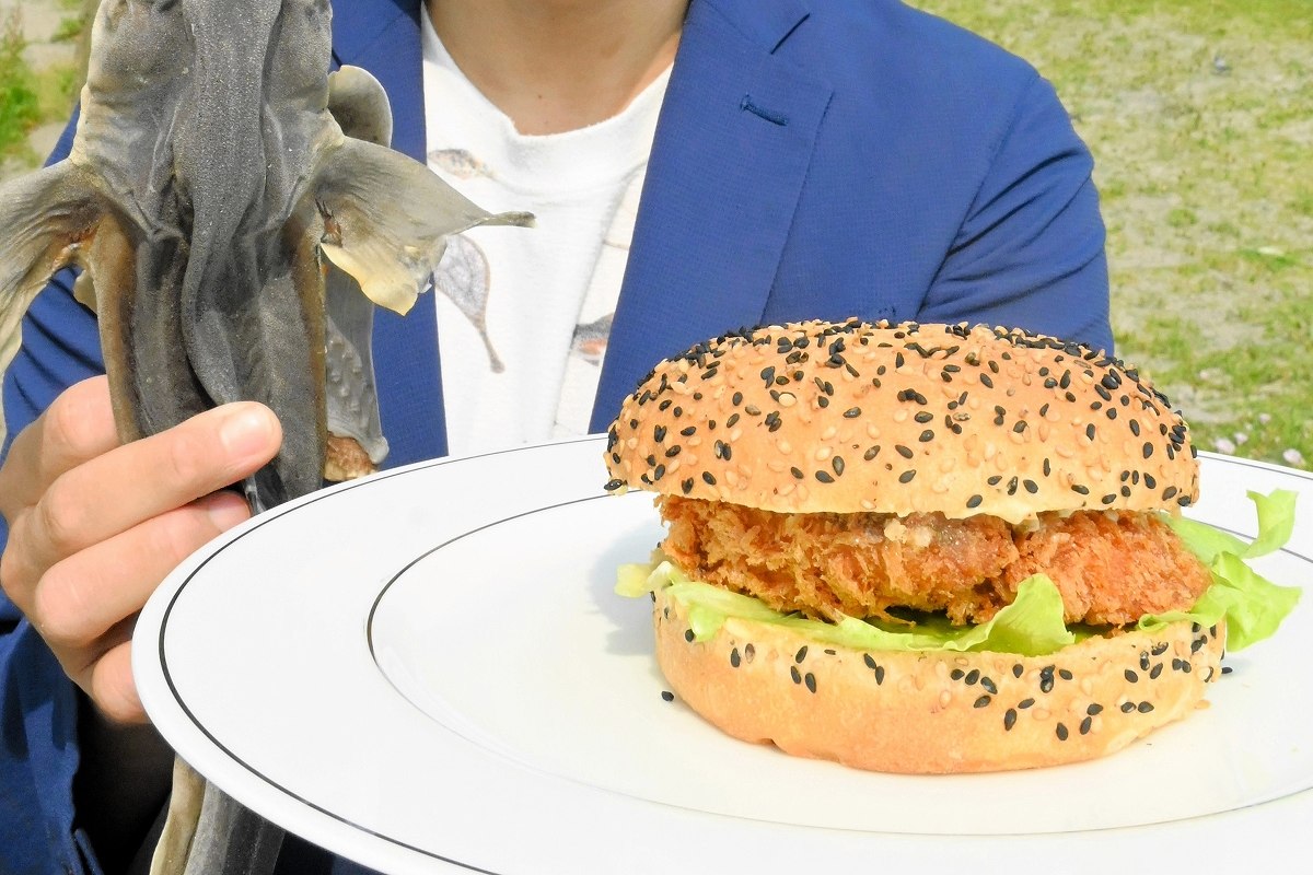 厄介者のサメ フライバーガーに＊函館･福田海産が開発、販売＊味は淡泊 小骨なく安心