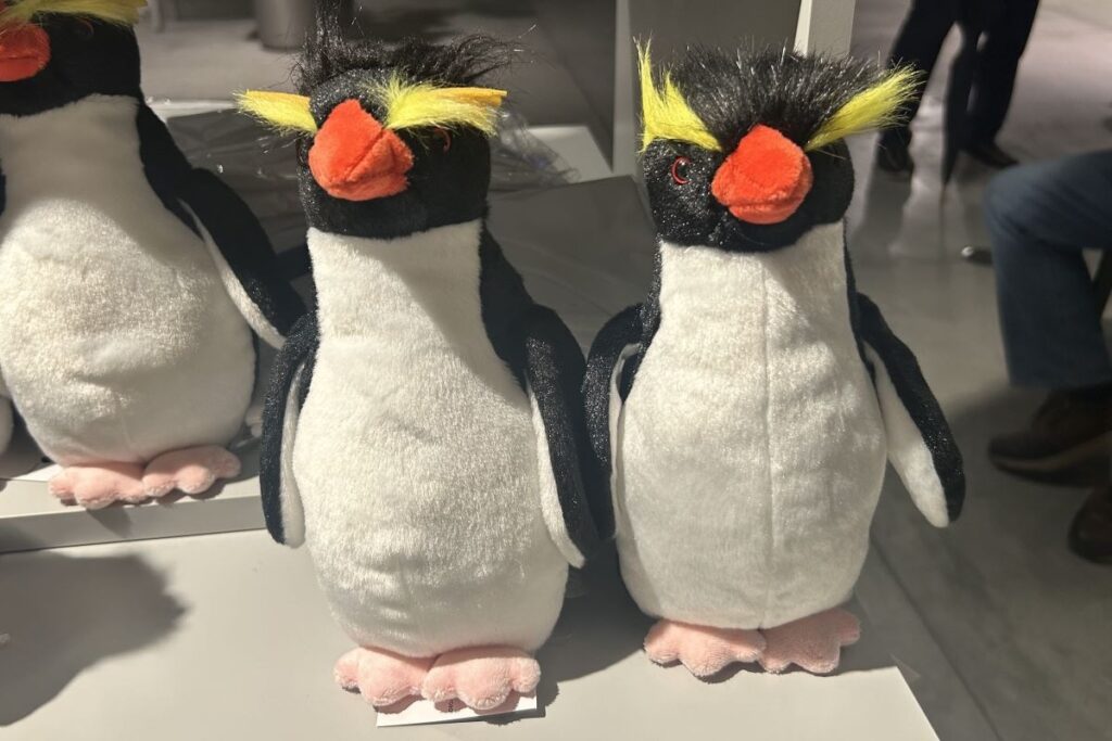 頭の飾り羽がフエルト製の旧キタイワトビペンギン(左)とふわふわの毛でつくった新型